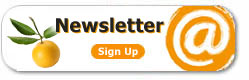 Subscribe to the newsletter and get up to date on the reservation software for cooking schools