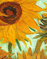 Van Gogh, Big Sunflower